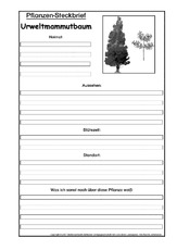 Pflanzensteckbrief-Urweltmammutbaum-SW.pdf